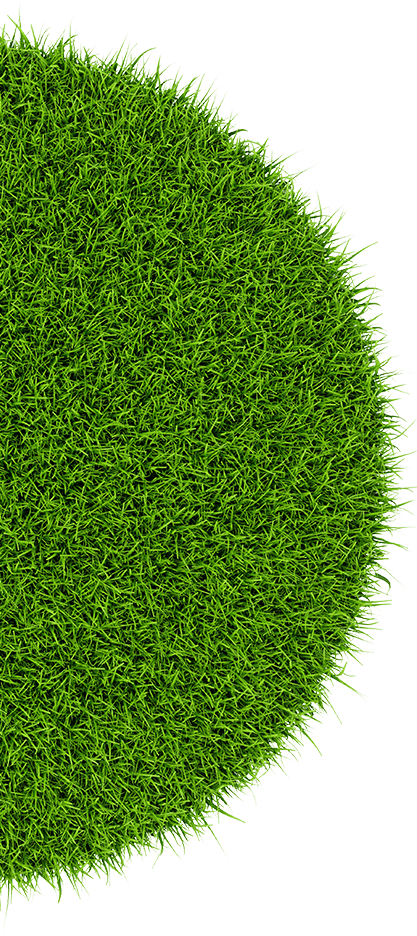 Grass Grass